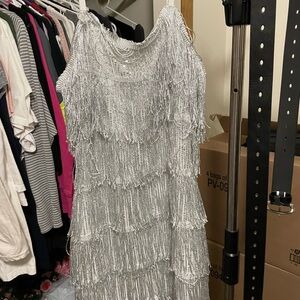 Elegant Silver Fringe Dress